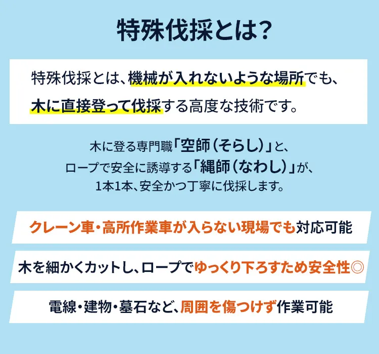 特殊伐採とは