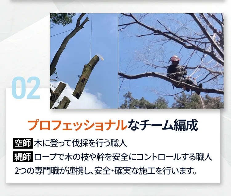 プロフェッショナルなチーム編成