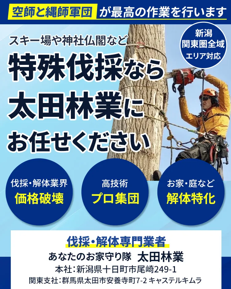 特殊伐採なら太田林業にお任せください